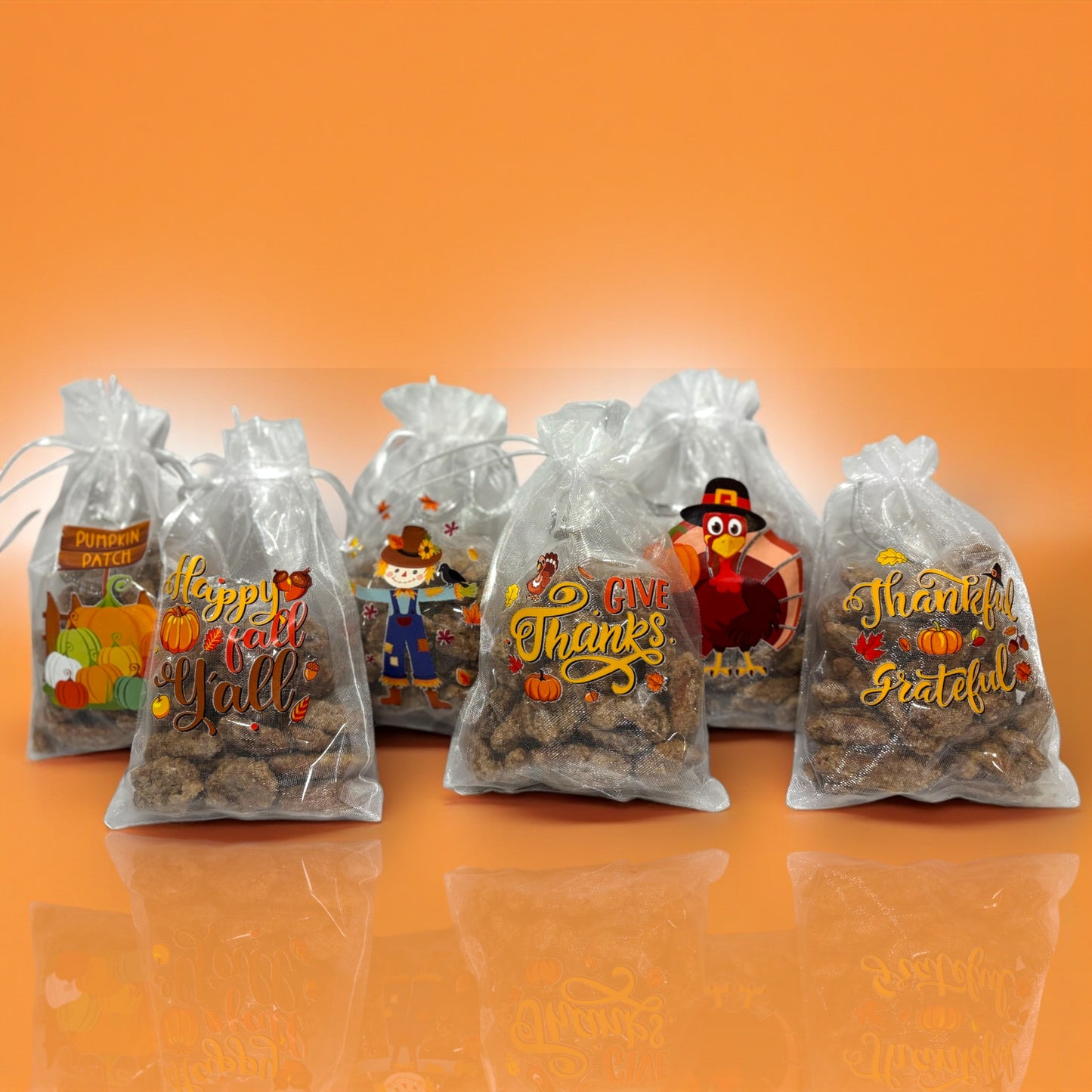Thanksgiving 6 Pack Treat Bags